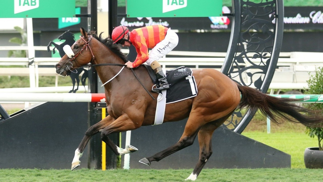 Preview: Gr.2 Premiere Stakes Image 2